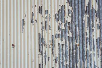Zinc wall painted in white Old until the paint fade Until seeing the zinc content
