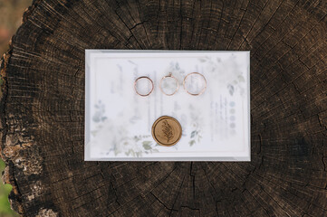 Paper, cardboard envelope, invitation with a wax seal, gold rings lie on a wooden brown stump with cracks. Wedding details, accessories. Photography, concept, copy space.