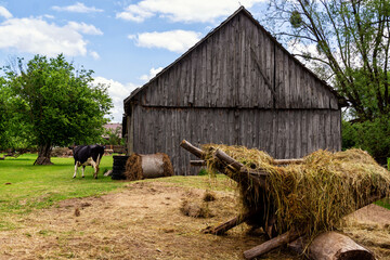 Krajobraz wiejski Podlasia, Polska © podlaski49