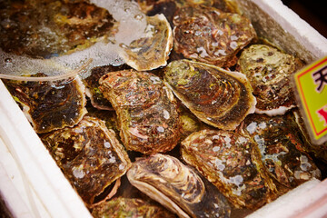 fresh seafood at the market