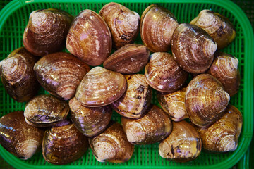 fresh seafood at the market