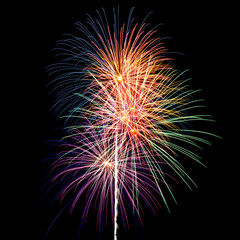 fireworks in the night sky