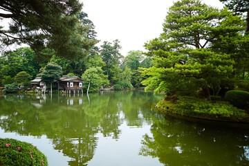 Fototapeta na wymiar japanese garden in the park