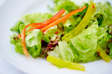 salad with lettuce and tomato