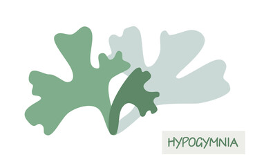 Gray lichen hypogymnia logo icon on white background