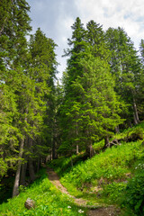 alpin scenery near Ischgl 