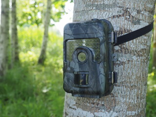Hunting trail camera on a tree. Photo and video trap. Animal monitoring device with motion sensor