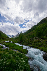 Naklejka na ściany i meble alpin scenery with a river near Ischgl