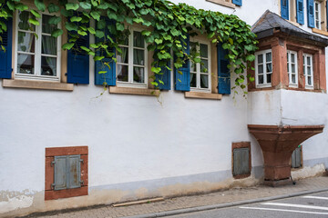 View of the overgrown facade of an old house with an oriel in Maikammer / Germany 