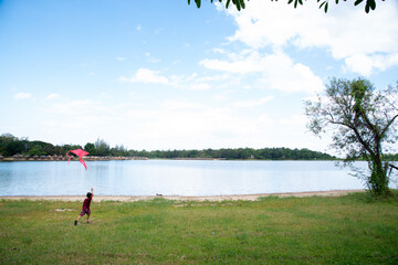 happy child girl with a kite running on meadow in summer in nature