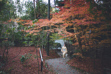 Fototapeta premium Giouji Temple, Arashiyama, Kyoto, Japan