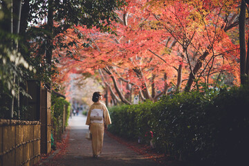 Japanese Kimono Woman, Kyoto, Japan