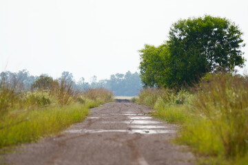 Rural country road go straight to village