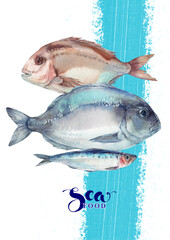 Seafood collection.  Watercolor illustration for menu design.  Banner, postcard.