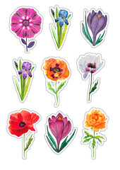 9 different floral watercolor stickers