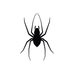Spider Icon Design Template Vector