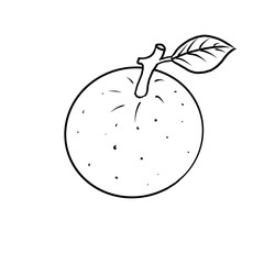 Sketch with a black line of a juicy orange with a leaf on a white background. For menu, postcards, design, poster, cover, booklet, flyer, design, background, graphic element, decoration