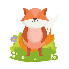 fox wildlife cartoon
