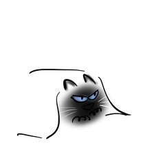 Cat with blue eyes is hiding