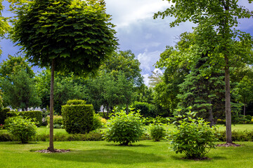 city park with garden landscape with trees and bushes on a lawn with green grass on a sunny day with clouds in the sky, nobody.
