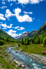alpin scenery with a river during summer (Montafon, Austria)