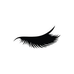 eyelashes logo icon design template vector