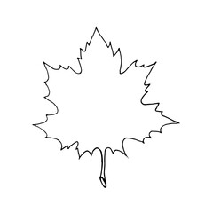 The silhouette of a maple leaf on a white background.Vector illustration in the doodle style.Maple leaf can be used in autumn designs,textiles, postcards.