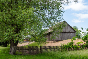 Fototapeta na wymiar Krajobraz wiejski Podlasia, Polska