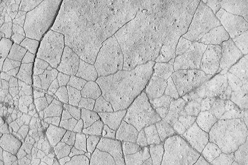 crack on the ground white background / abstract white vintage background broken texture
