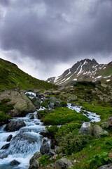 Alpin scenery with a river 