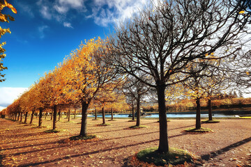 landscape autumn rays of the sun / beautiful landscape nature of Indian summer, yellow forest and sun