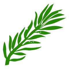 Tropical plant leaf of fern isolated icon in green on white background. Tropical series