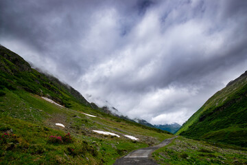 alpin landscape during summer (Montafon, Austria)