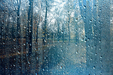 rain window autumn park branches leaves yellow / abstract autumn background, landscape in a rainy...