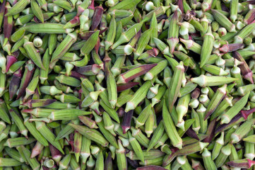 Raw okra, gumbo.
