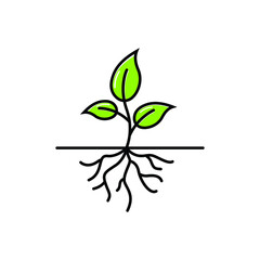 plant root logo icon design template vector