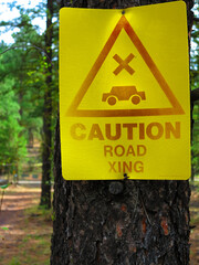 Caution road xing sign hanging from a tree