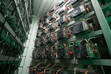 Bitcoin miners in large farm. ASIC mining equipment on stand racks mine cryptocurrency in steel...