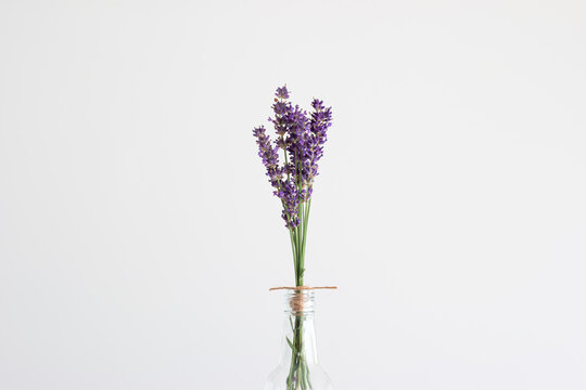 Purple Lavender Twigs Tied With Rope In A Clear Glass Bottle Neck Close Up Shot Isolated On White