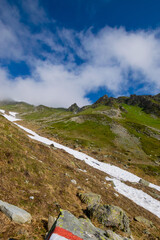 alpine meadow in the mountains with snow during summertime (Vorarlberg, Austria)