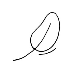 Plant leaf, tree. Spinach. Summer. Vector hand-drawn doodle illustration. Silhouette. Black and white outline. Coloring.