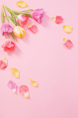 spring flowers on pink background