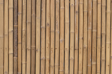 Beautiful Bamboo Background use for wall, floor and panel.