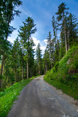 Fototapeta na wymiar hiking path near Ischgl (Tyrol, Austria)