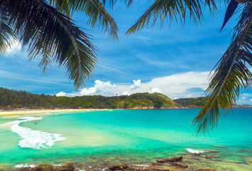 Fototapeta na wymiar Palm leaves on the background of the sea beach and beautiful water