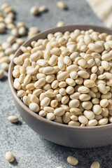 Healthy Organic Dry White Beans