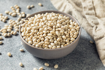 Healthy Organic Dry White Beans