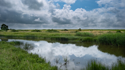 Mirror lake in the Netherlands nature reserve