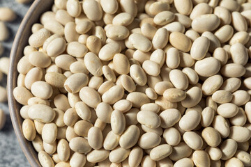 Healthy Organic Dry White Beans