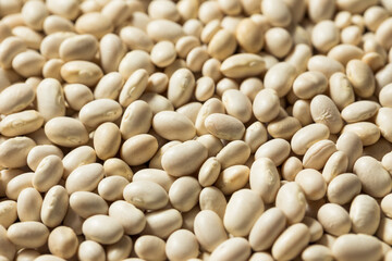 Healthy Organic Dry White Beans
